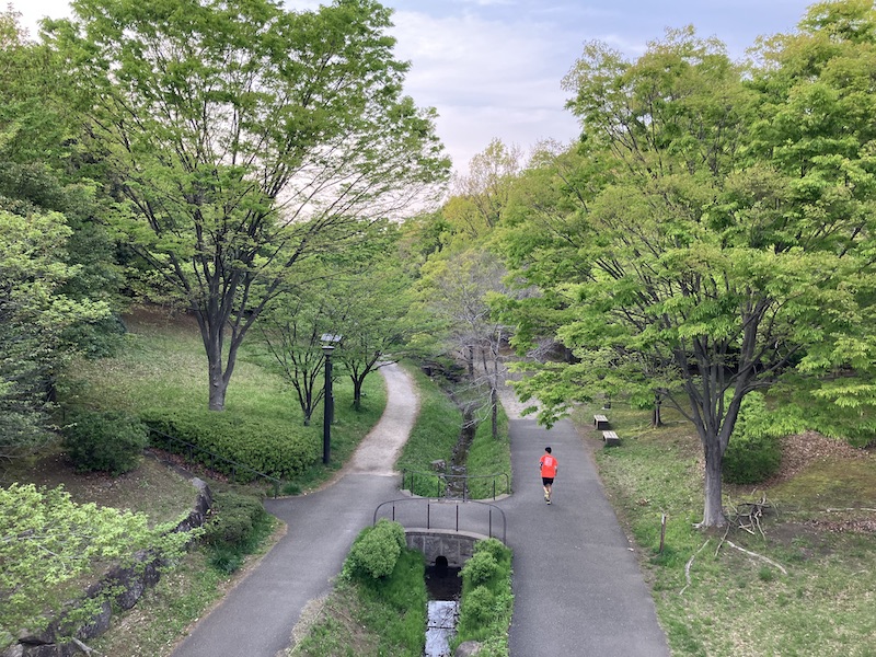 都筑区緑道グリーンマトリックスシステム