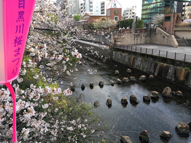 目黒川