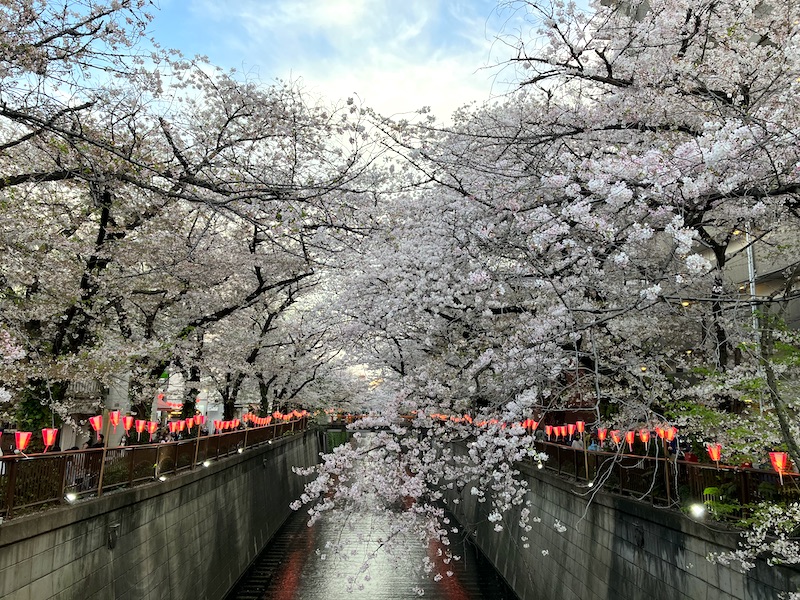 目黒川