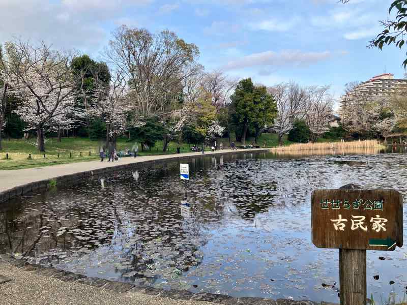 せせらぎ公園
