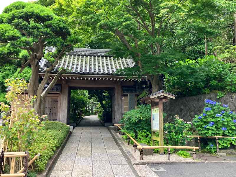 報国寺