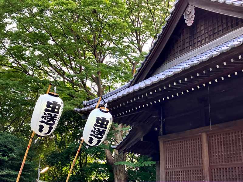 虫送り